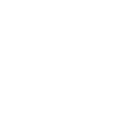 Anti-reverse Drone Winch